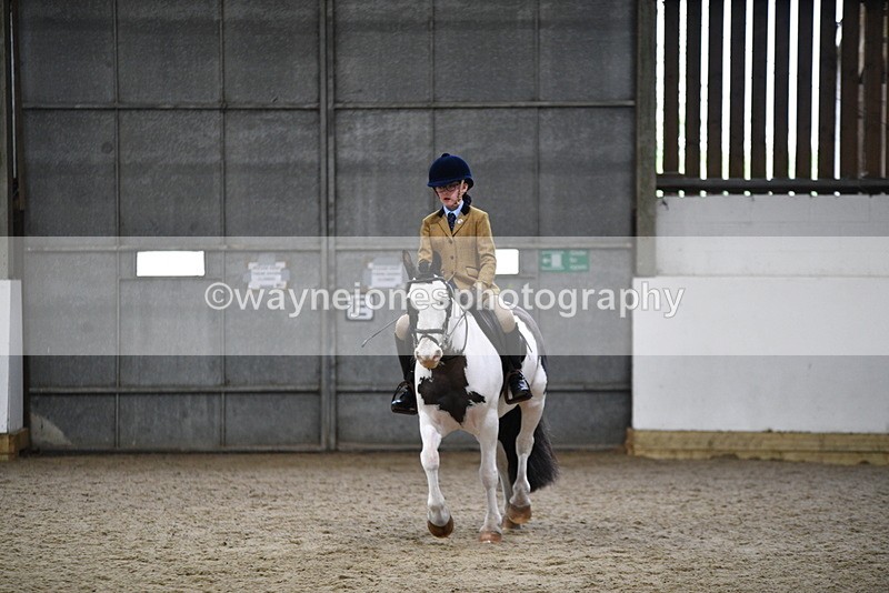 WJ5_7308 - Class 11 Ridden PC - RC Pony