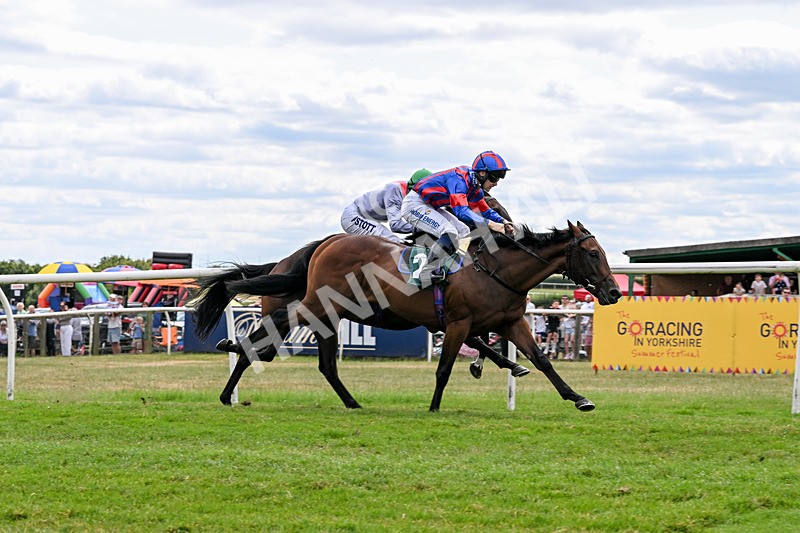 220726-Race 2-Koodini-9040 - Race 2 14.37pm Try Racing TV For Free Now Nursery Handicap