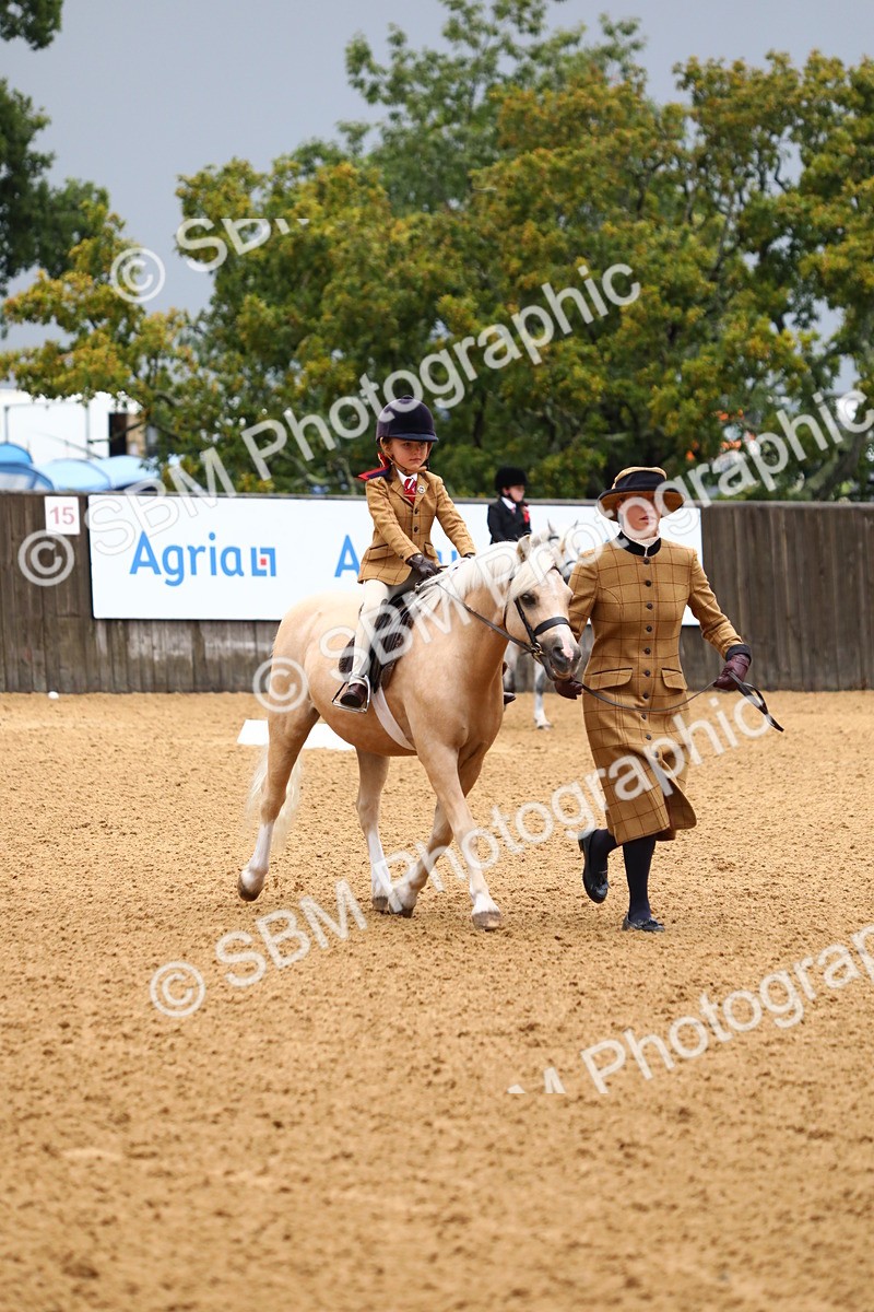 SBM_34553 - D26 - Starters Lead Rein