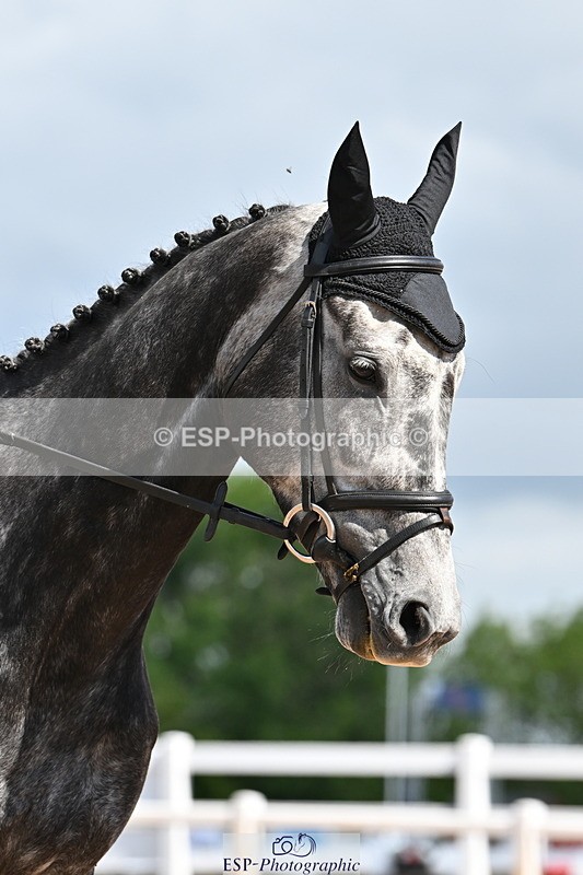 240622A-101441-07531 - Cls 2A+2B+C Intro B RoR