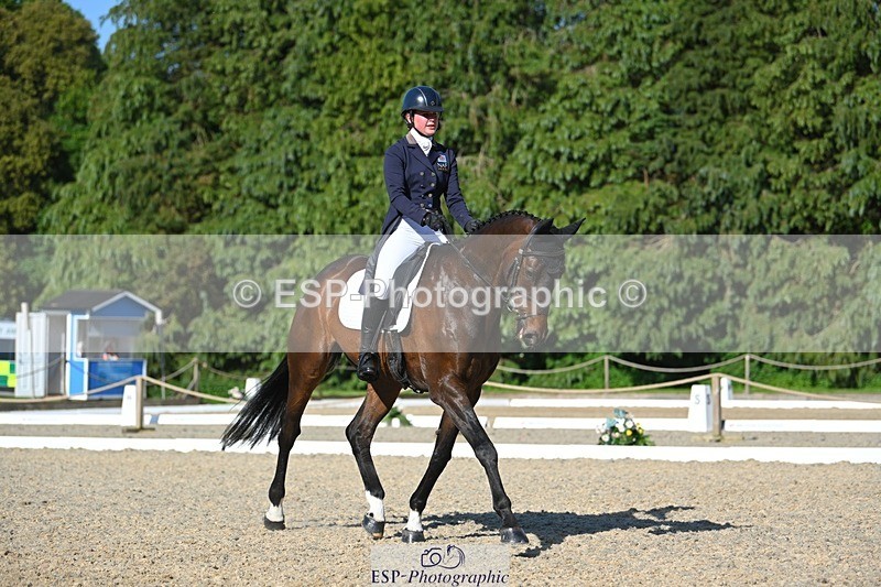 230526-172447-07595 - 263-CARWARTHEN_HARRIER-Polly_Muirhead-WEDTrotUp+DR