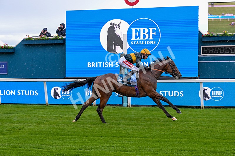 130526-Race 1-Cut A Dash-1996 - Race 1 1.45pm British Stallion Studs EBF Novice Stakes