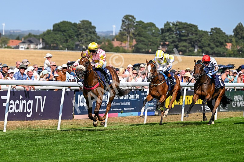 130826-Race 3-State Of Gold-8758 - Race 3 15.15pm Hornsea Ladies At The Races Nursery Handicap