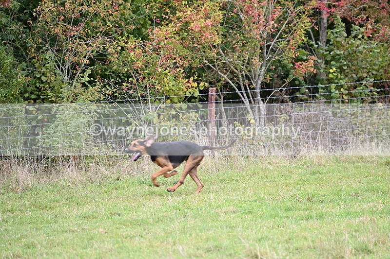 WJ6_0222 - Camera 2 Line 1