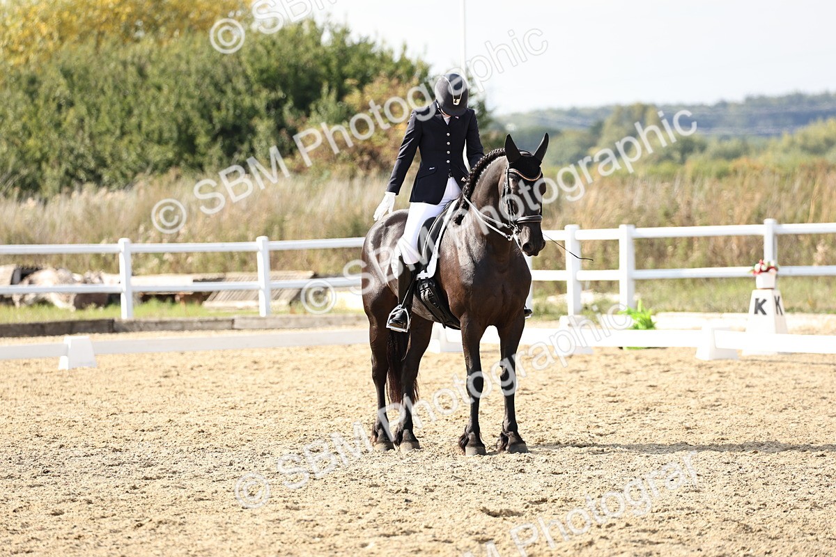 SBM_015413 - Class 9 - Advanced medium 3