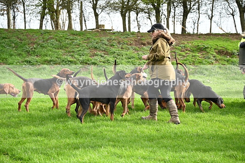 WJ6_9200 - Line Three