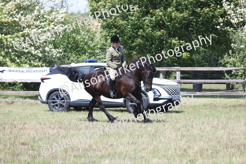 20250831-2963 - Class 19 - Mountain and Moorland