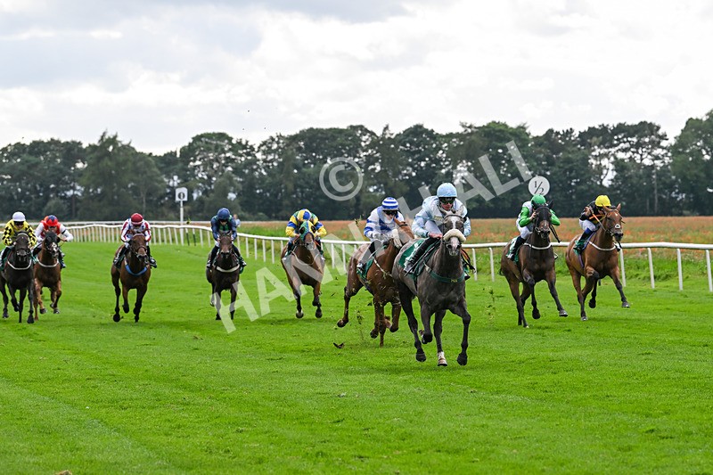 090824-Race 6-Calafrio-4832 - Race 6