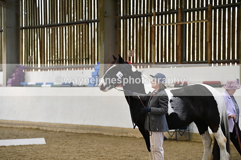 WJ5_4965 - Class 7 In hand coloured / odd coloured