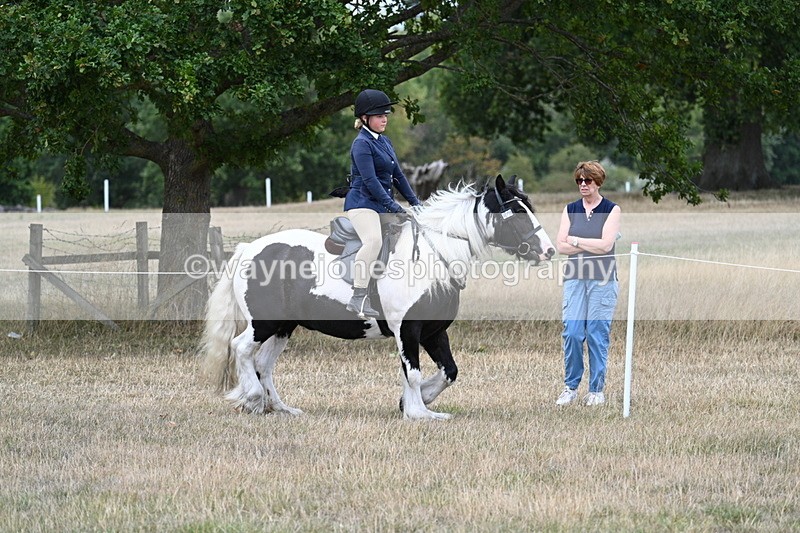 WJ7_4791 - Class 12 Ridden Cob