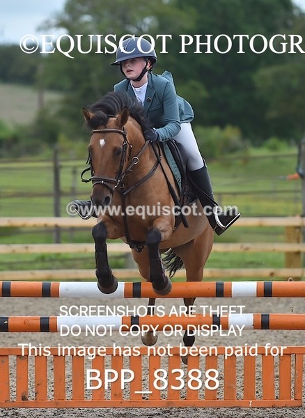 BPP_8388 - CLASS 1 British Novice / 0.80m Open