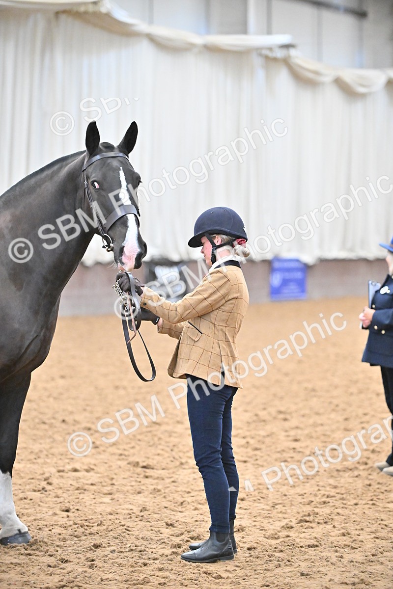 SBM_000095 - Class 4 - BSHA In Hand Show Cob