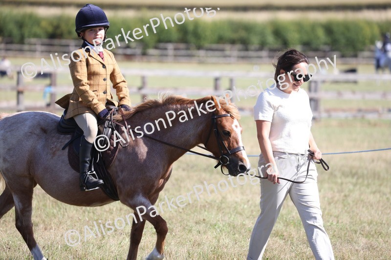20260906-2167 - Class 16 - Family Pony