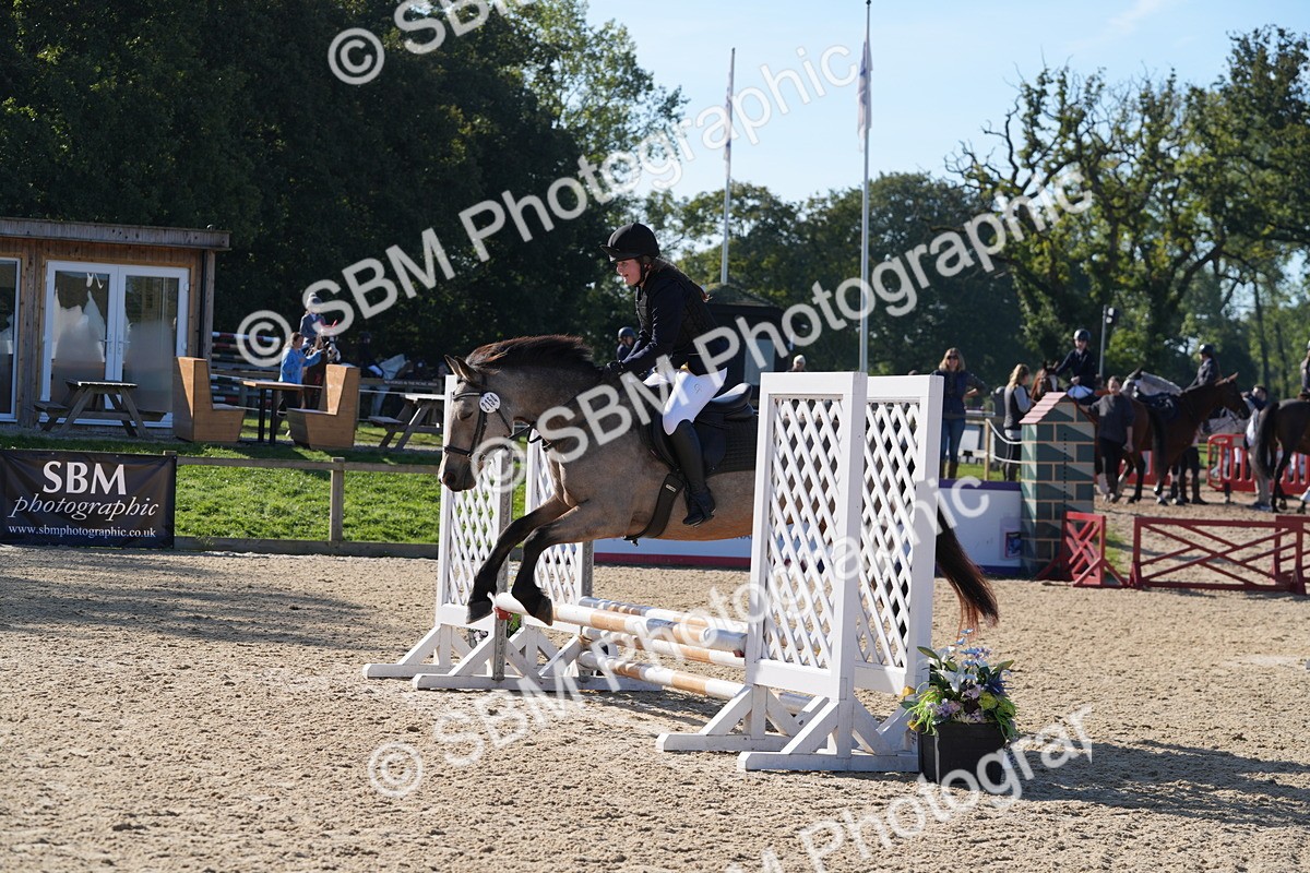 SBM_36142 - J 20 - Junior Horse 50cm Championship