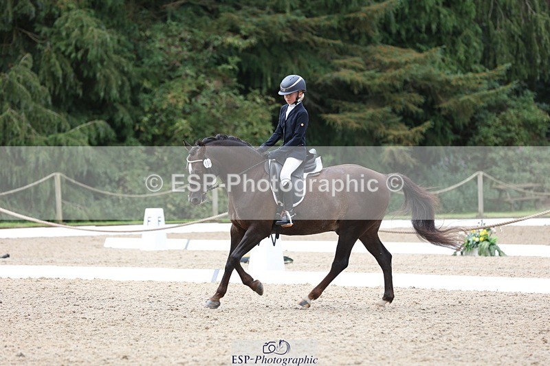 230812-103716-03283 - Cls 5 Novice Bronze Start to 10.55 break