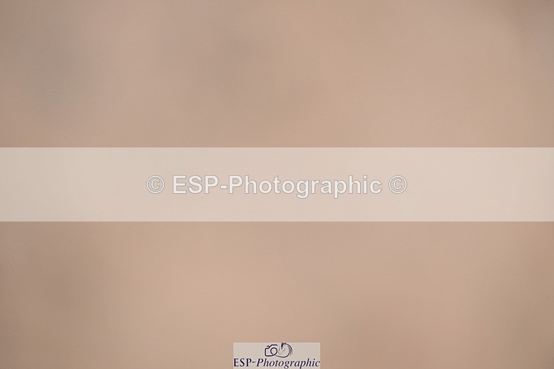 241006A-124811-07336 - Cls 26 1.10 Nat Am Qual