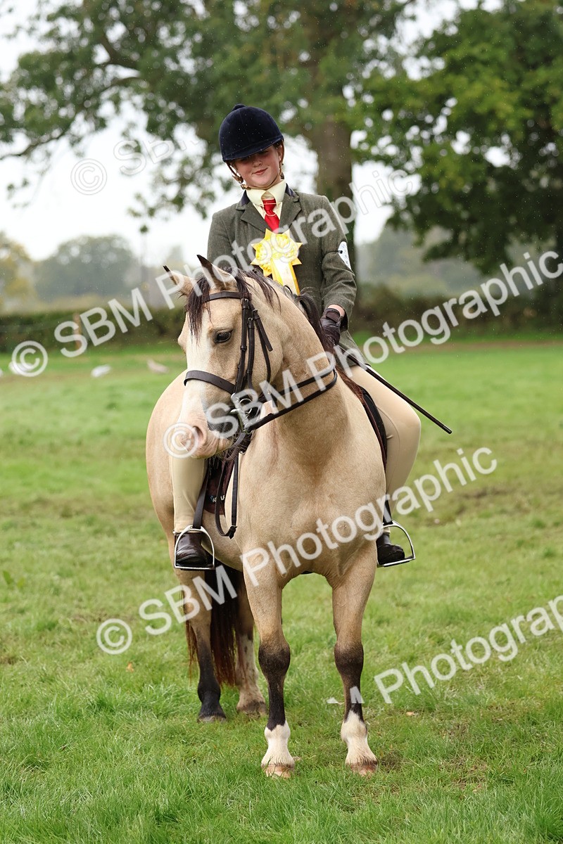 SBM_69747 - S62 - Mountain & Moorland Ridden Large Breeds