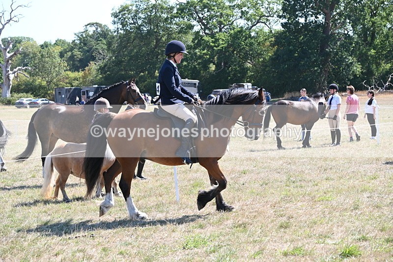 WJ6_8249 - Class 37a Best Loan Pony Ridden