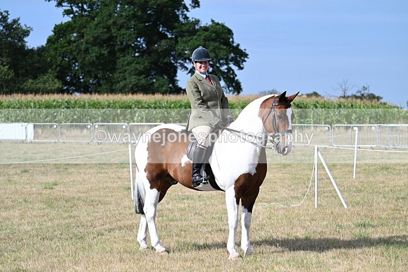 WJ7_2615 - Class 8 Ridden Tack & Turnout
