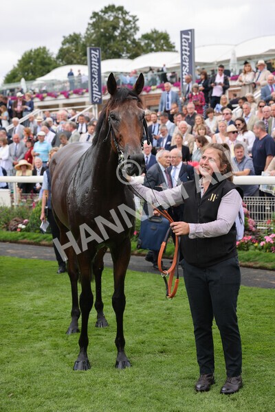 yr17082022r3-61 - Race 3 3.00pm Sky Bet Great Voltigeur Stakes