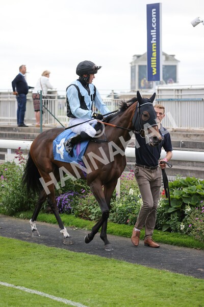 yr24092021r8-7 - Race 8 5.25pm William Hill Build Your Own Odds Apprentice Stakes