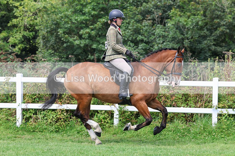 3E7A8672 - Class 5: Working Show Horse