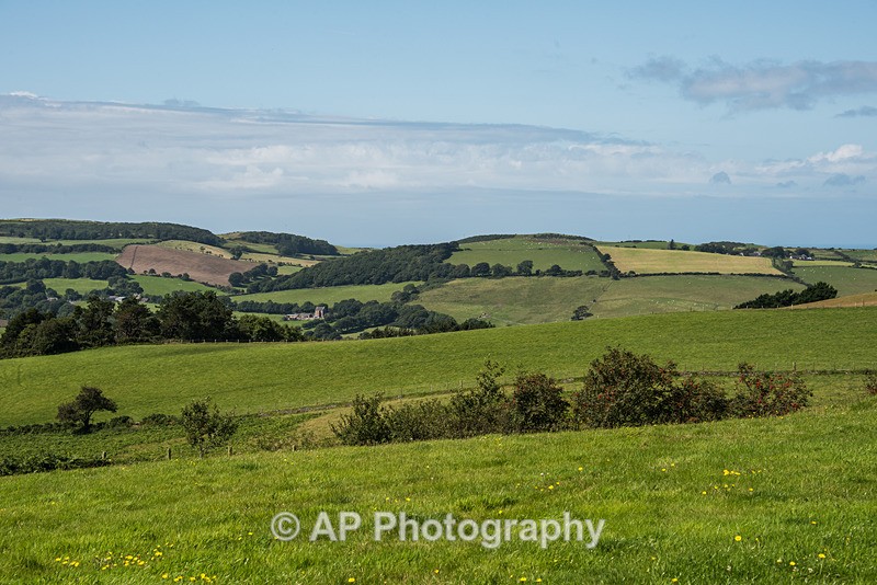 ACP_2495-1 - Rural Views