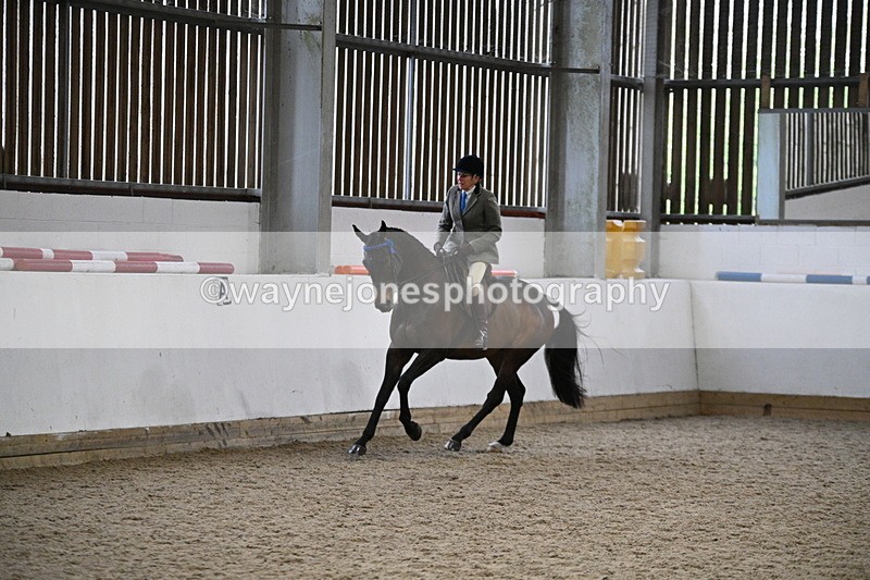 WJ7_4271 - Class 17 Ridden Cob