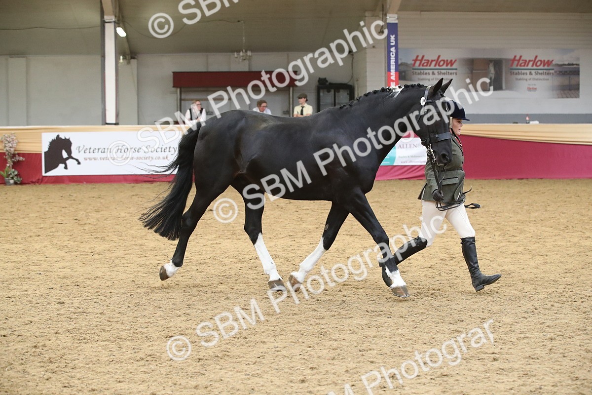 SBM_05687 - Class 9R - Regional IH Pre-Vet