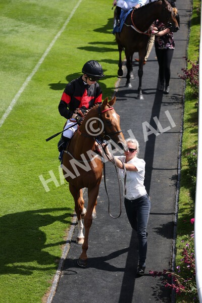 yr09072022r3-2 - Race 3 2.55pm John Smith's Stayers Stakes