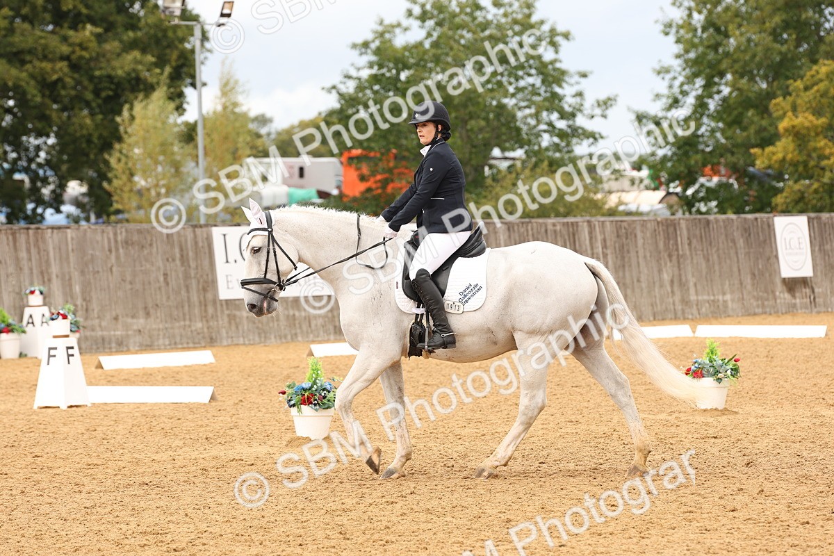 SBM_44162 - D6 - Small Tour Championship Intro 4