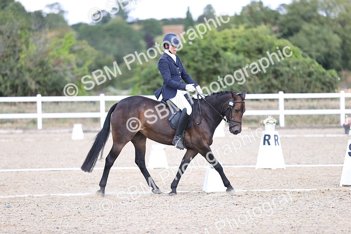 SBM_014509 - Class 5 - E5 Bronze 13.30.14.18