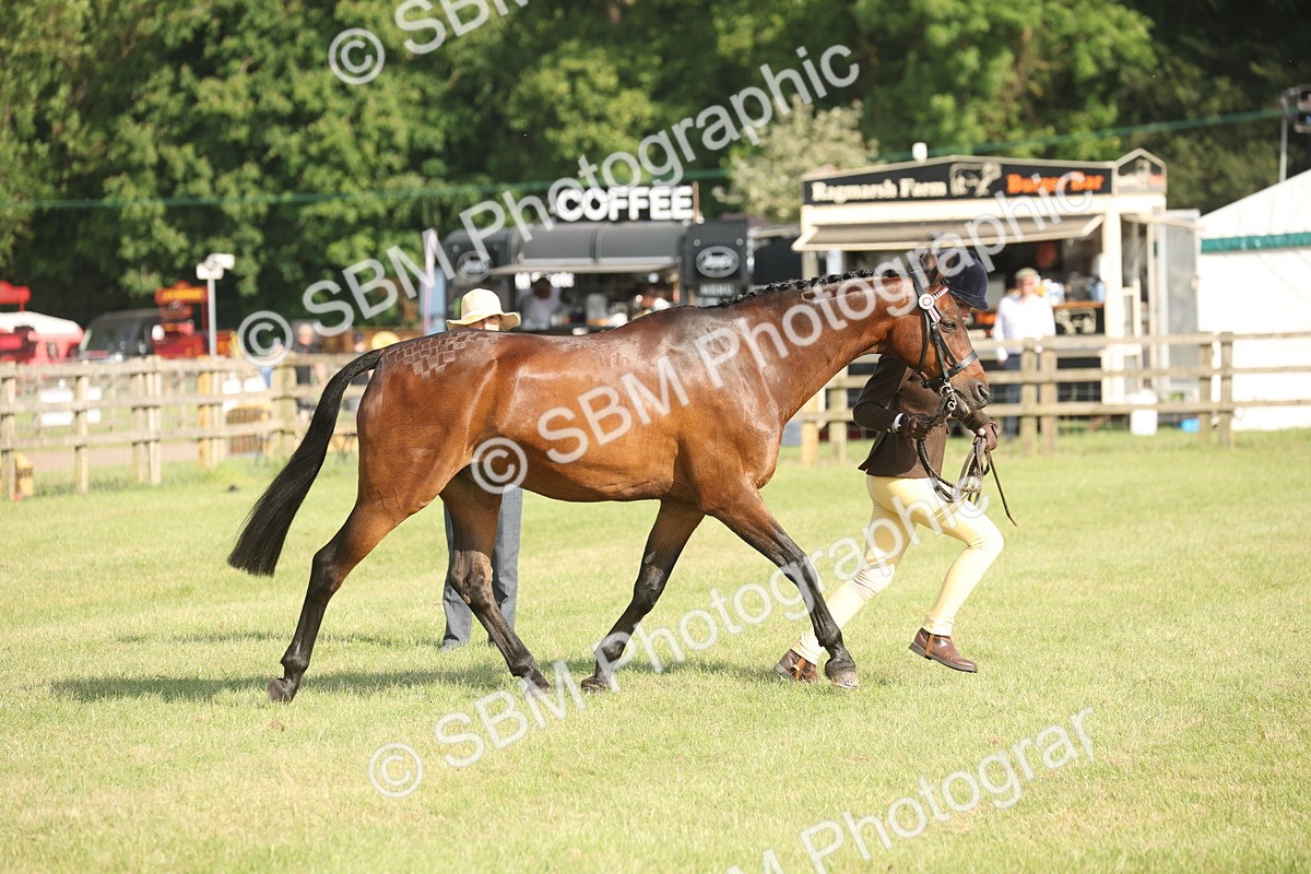 SBM_10418 - Class 33-38 - SSADL RIHS Qualifiers