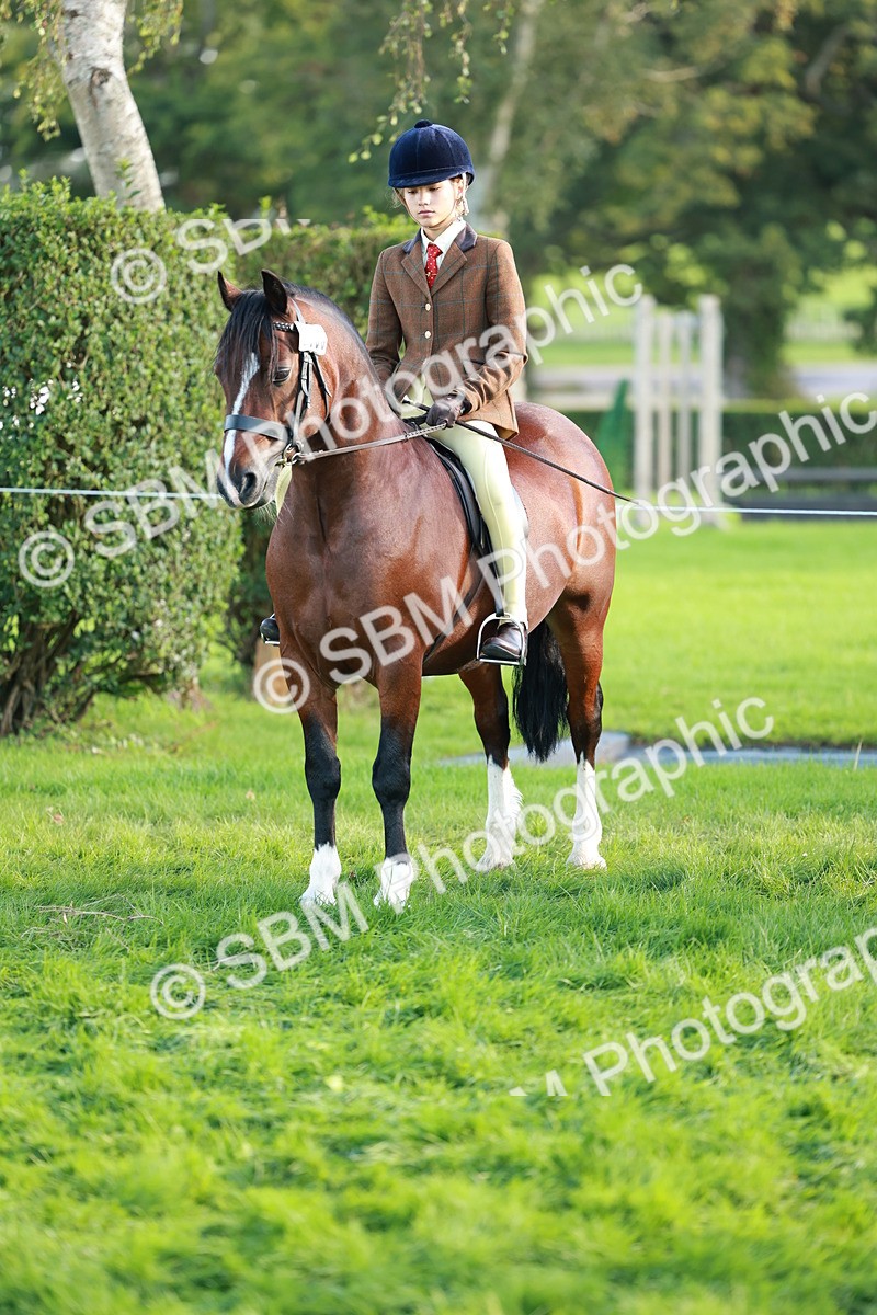 SBM_28783 - S7 - Novice & Newcomer Ridden Pony