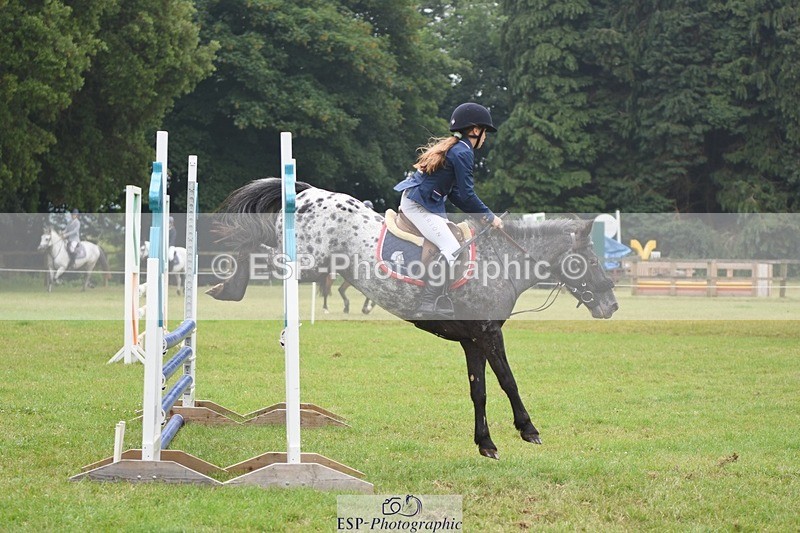 230618-102210-10389 - Cls 28 British Novice & 80cm Open