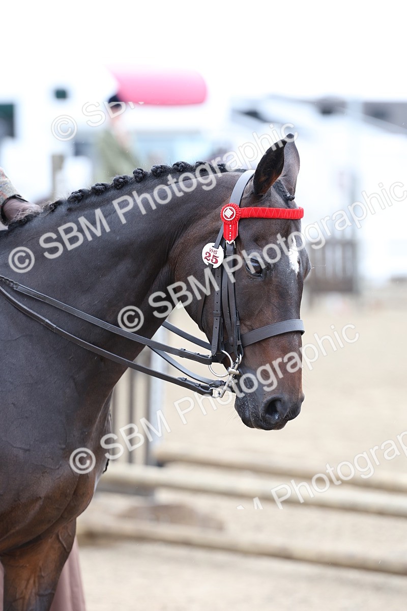 SBM_01420 - Class 51 - Best Turned Out Ridden