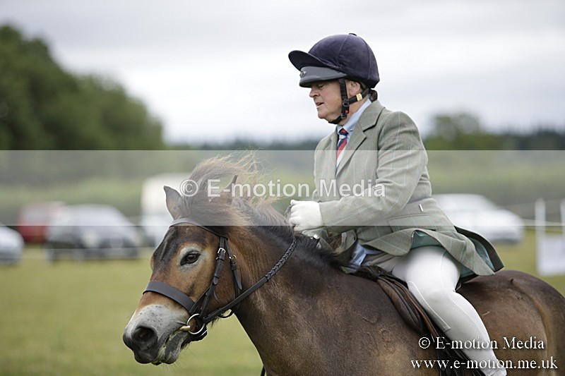 BVR160717-1315 - Ring 1 BVRC Show 16/07/17