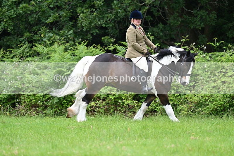 WJ7_2369 - Class 12A Coloured Class