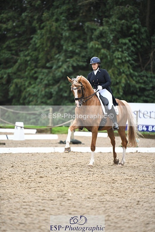 240720-161011-06434 - 187-Clare_Smith-Dori_Dragon_Fly