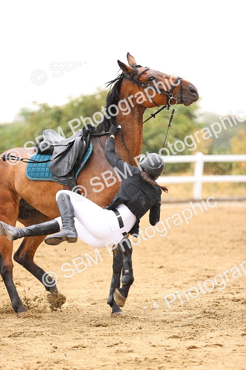 SBM_025052 - Class 9 - Senior British Novice - 90cm