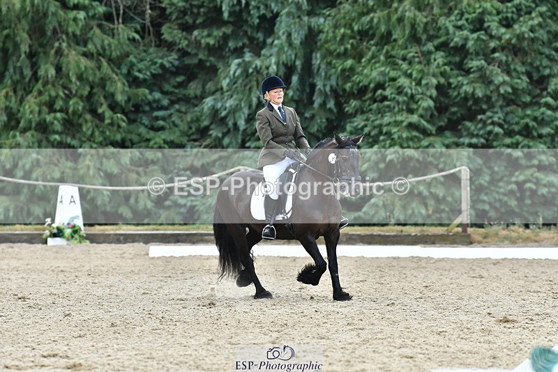 260801A-122254-03910 - Prelim Bronze Break - End