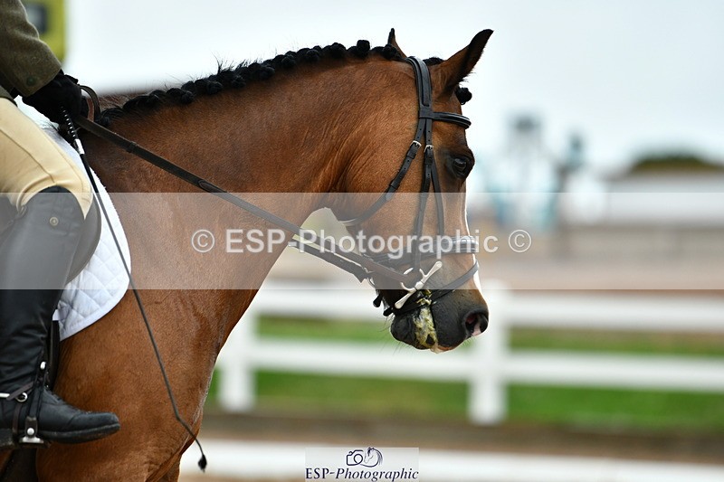 230630A-161957-03476 - Cls 9 Quest Novice 28