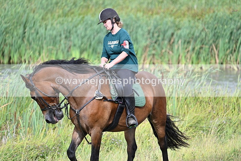 WJ7_4887 - Time 11:17 to 11:22