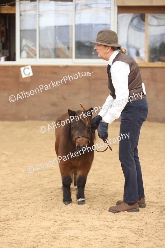 20251109-0312 - Class 13 - Mares 4 Years and Over