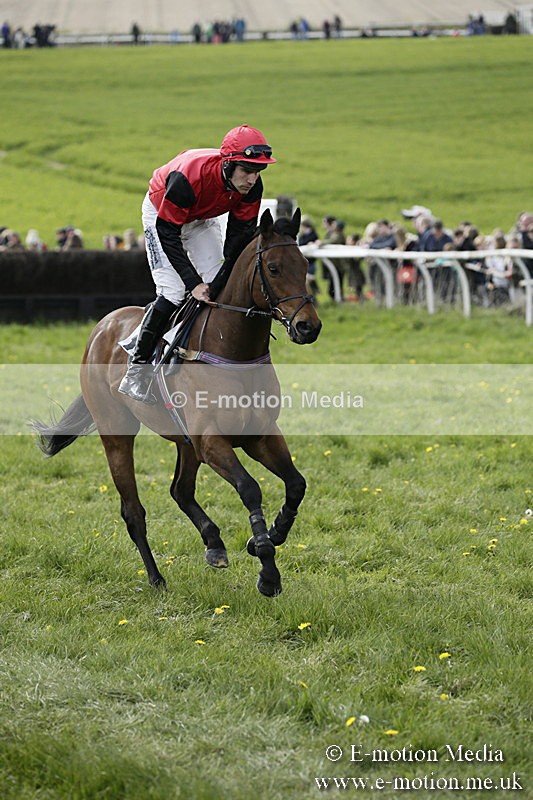 PtP 170417 412 - Old Berks Point-to-Point Lockinge 17/04/17