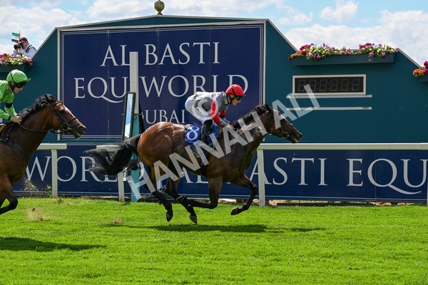 280625-Race 3-Squealer-0228 - Race 3 3.00pm Al Basti Equiworld Dubai Dash Handicap