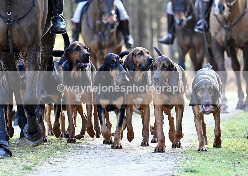 WJ7_7687 - Line 3 (no line 4 or 5)