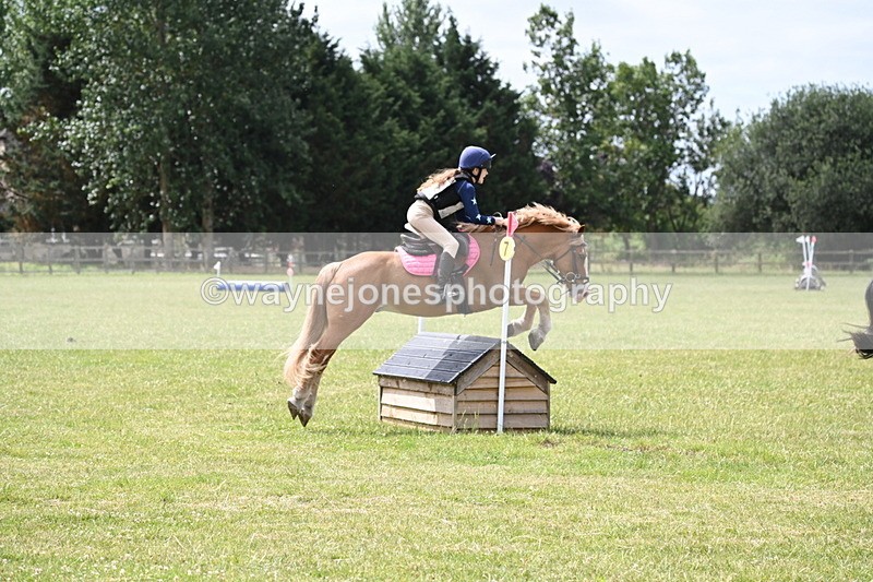 WJ6_6894 - 80cm XC Pairs