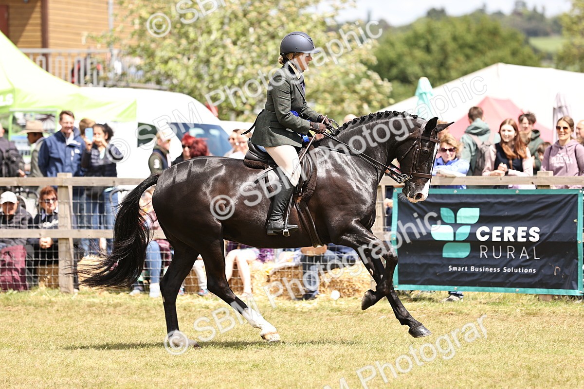 SBM_14797 - Class 88-89 - LIHS BSHA Rising Star of Ridden Hunter Type
