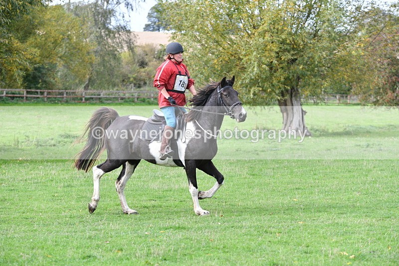 WJ5_9886 - Time 13:25 to 13:58